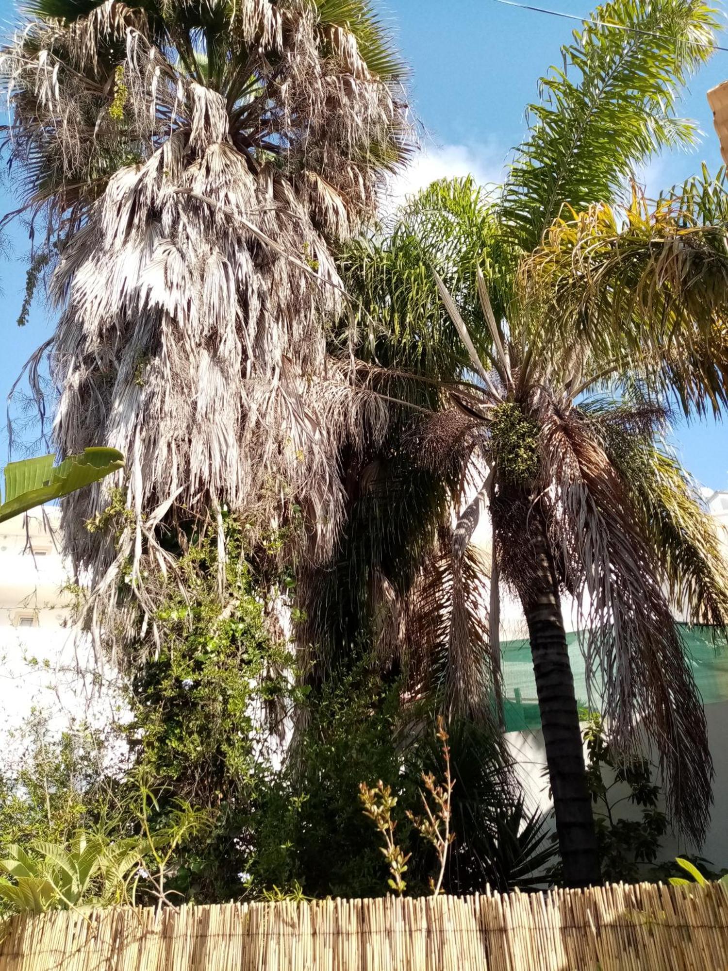Casa Rustica Villa Olhao Luaran gambar